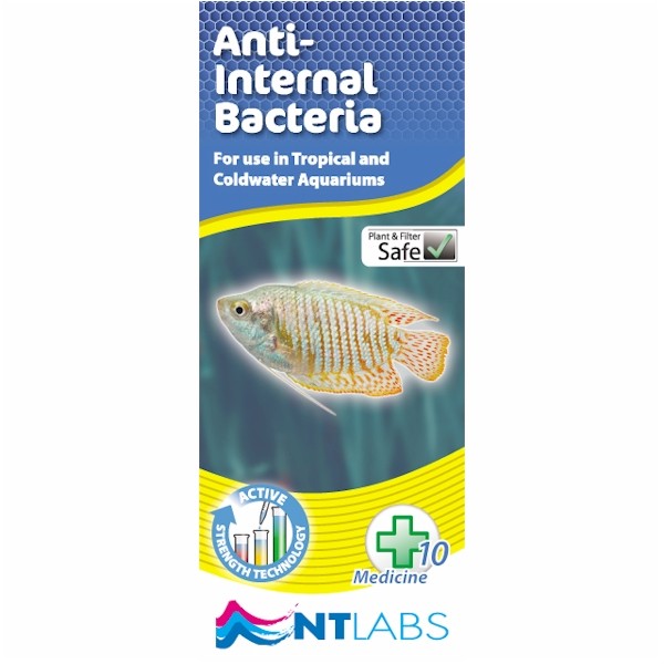 Nt Labs Anti Internal Bacteria 100ml The WaterZoo Tropical fish